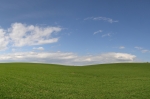 Windows-Landschaft bei Gr-Peterwitz